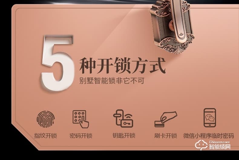 银驰欧式别墅双开门智能锁 耐磨防刮花