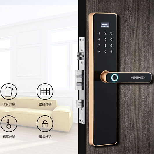 青熠智能锁 NB-IOT智能锁 直板防盗门指纹锁